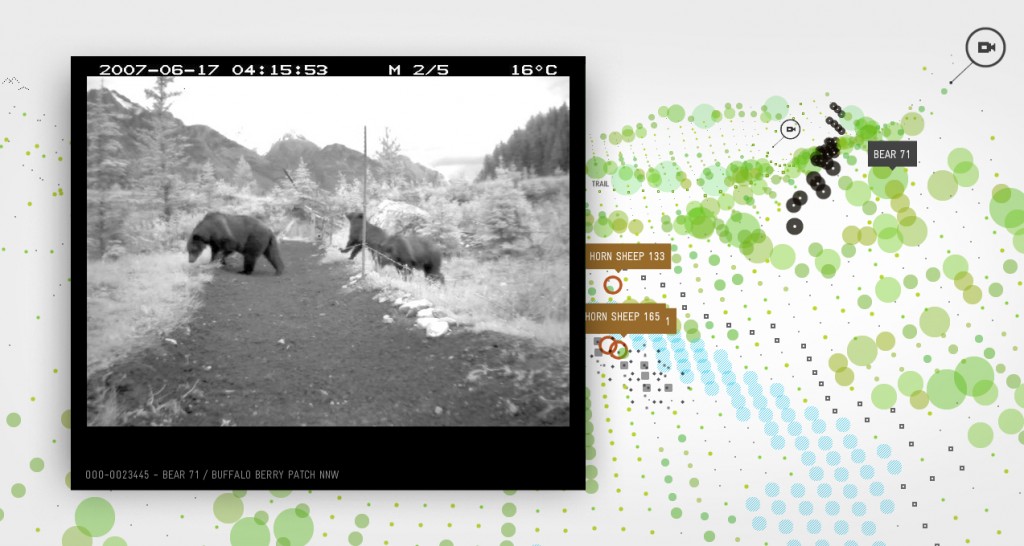 Interactive map which is central to the bear 71 doc