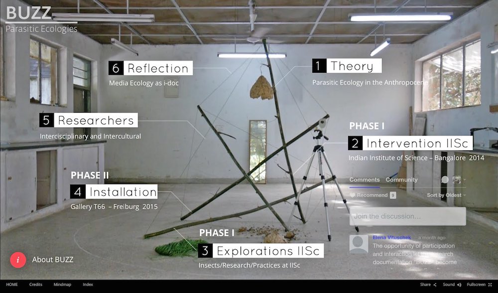 Dissemination and creation of knowledge by means of the interactive documentary project BUZZ